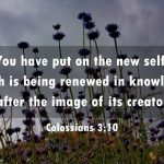 I Memorized Colossians—and You Can Too!